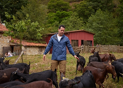 Ganadero cuidando un rebaño de cabras en explotación ganadera